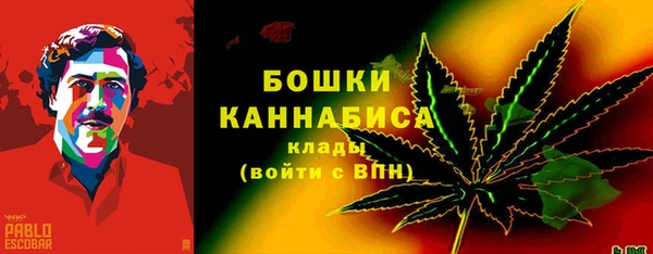 прущие грибы Богородицк