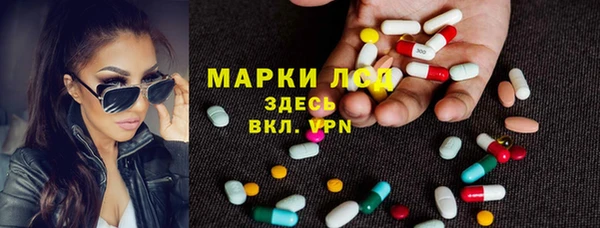 мдпв Богданович