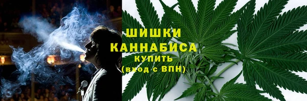 гидра Белокуриха