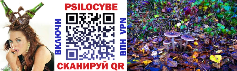 Галлюциногенные грибы Psilocybe  Болохово 